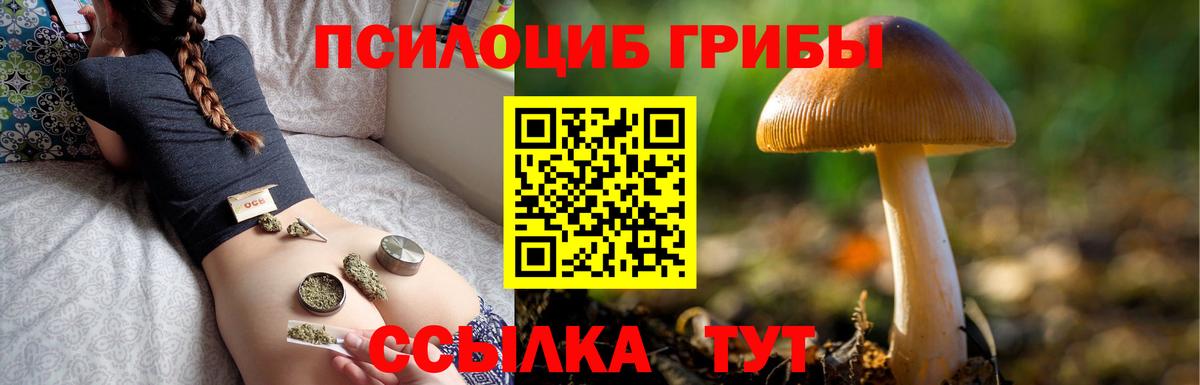 Златоуст  Галлюциногенные грибы Cubensis  Вход с VPN 